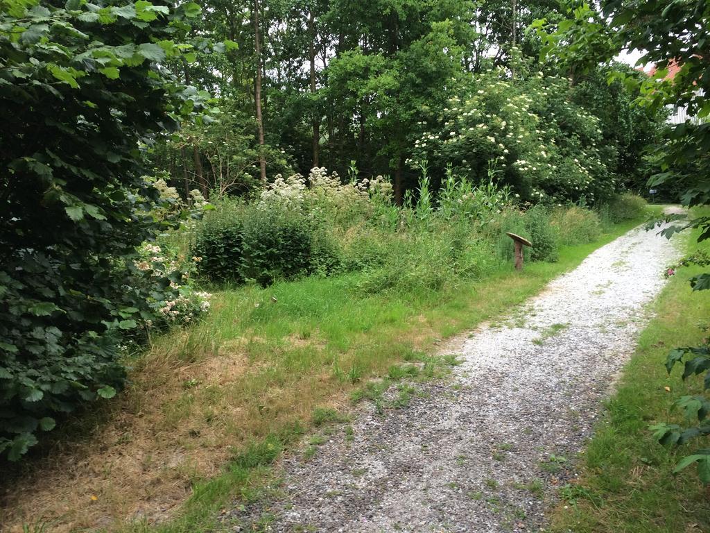 B&B 'T Buitenkansje Almere Esterno foto